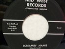 BECK BROTHERS SCREAMIN' MAMIE RARE STARDAY ROCKnROLL 7
