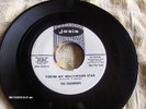 TEEN 45 DOO WOP TEARDROPS JOSIE 862 WLP PROMO DJ
