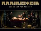 Rammstein - Liebe ist für alle da - Pink LP/ Neu & OVP