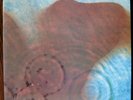 Pink Floyd Meddle Original MFSL LP Limited Edition #'d