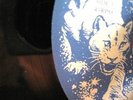 * SECRET SQUIRREL Cosmic Disco Funk BREAKS RARE 45 Hear