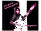 ARIEL PINK'S HAUNTED GRAFFITI UNDERGROUND VINYL LP RARE