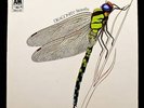 THE STRAWBS Dragonfly RARE UK PRESSING A&M FROM 1970