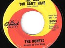 HONEYS-THE ONE YOU CAN'T HAVE- BRIAN WILSON HEAR IT