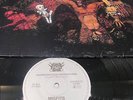 MISFITS EARTH AD / WOLFSBLOOD LP GERMAN PUNK RARE KBD