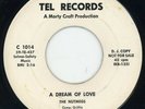 Nutmegs-A Dream Of Love- Tel Promo Doo Wop 45 