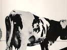 PINK FLOYD atom heart mother GOES ON THE ROAD  no TMOQ