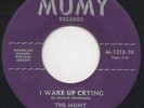 THE MUMY I WAKE UP CRYING / DON'T LET THE SUN  LISTEN