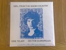 GIRL FROM THE SNOW COUNTRY - JJ BURNEL - THE STRANGLERS