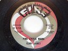 RARE BLUES 45 FIRE LABEL 1031 