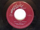 RARE BLUES 45 FLAIR LABEL 1011 