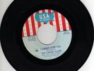 Classic Garage 45 THE CHERRY SLUSH I Cannot Stop You