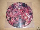 CARCASS-Symphonies Of Sickness PICTURE LP Earache 1990