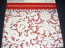 GRUMIAUX/ BACH Solo Violin Sonatas PHILIPS 2 LP SET NM-