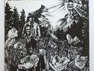 DINOSAUR JR - First Album - ORIGINAL Homestead LP RARE
