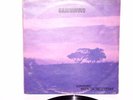 DAWNWIND LOOKING BACK ON THE FUTURE UK ORIG ISSUE 1976
