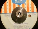 Cherry Slush - I Cannot Stop You Garage Psych Fuzz HEAR