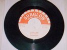 TEXAS GARAGE/SOUL THE SOUNDS 
