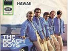 Sg. - THE BEACH BOYS  - FARMER`S DAUGHTER   - Car Cover