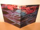 HAIRY CHAPTER Can't Get Through D 71 ORIG PROG PSYCH LP