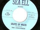 THE COACHMEN GRAPES OF WRATH SEA ELL TX PSYCH 45 hear