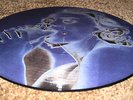 MADONNA EROTICA PICTURE DISC