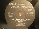 Mint - The Mint / Skywalking 12 MODERN SOUL Rokk  HEAR