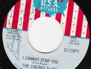 THE CHERRY SLUSH ICannotStopYou USA Psych DICK WAGNER