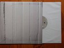 Beach Fossils LP /600 best coast Washed dum dum Sarah
