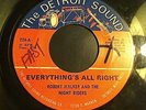 Robt Walker & Night Riders Everythings alright Nor Soul