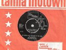 Marvelettes - The hunter gets captured UK T MOTOWN 594