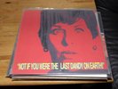 BRIAN JONESTOWN MASSACRE RARE LAST DANDY LP WHITE LABEL
