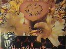 NIRVANA Heart Shaped Box  RARE DJ ONLY PROMO 12