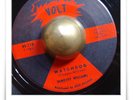 Dorothy Williams Watchdog R&B MOD NORTHERN SOUL 45 HEAR