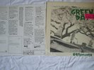 Green Day LP 39/smooth