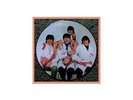 Beatles Yesterday & Today Butcher Cover Picture Disc LP