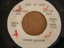 George Harrison Apple 1828 What Is Life Promo 7