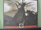 ONE EYED GOD PROPHECY LP hc punk crust orchid saetia OG