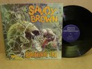 Savoy Brown 