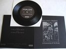 PARAGON IMPURE - In Commemoration ... 7` Darkthrone,Von