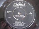 RARE Orig.1966 UK 45  Brian Wilson 