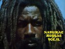 SUPER RARE REGGAE - NATURAL REGGAE VOL.2 (BAMBOO LABEL)