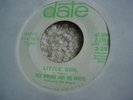 DICK WAGNER AND THE FROSTS LITTLE GIRL  SUNSHINE 45 RPM