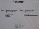 Rare guitar psych: Windflower