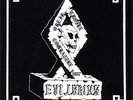 EVIL SKINS - une force, cause, combat LP french Oi '87