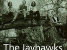 JAYHAWKS 