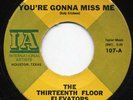 Garage 45-Thirteenth Floor Elevators-Roky Erickson-Your