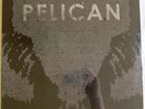 PELICAN S/T 12