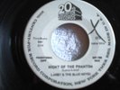 SUPER RARE LARRY & BLUE NOTES PROMO 45 NIGHT OF PHANTOM