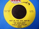 Beach Nuts-Out in the Sun 45 1965 early Lou Reed surf